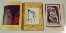 Nikos Lygeros notebook - Etude sur l'aile de Leonardo da Vinci.